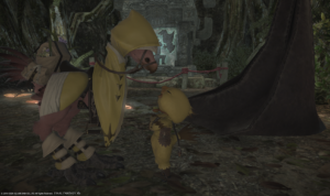 FF14　チョコボを2日で10ランクにしちゃう～～ヾ(o´ｴ`o)ﾉ