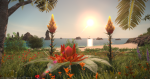 【FF14】頑張ったヒカセンへのご褒美！？無人島開拓開始！！