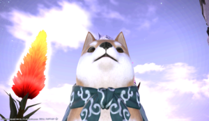 【FF14】大柴犬が我が家にきました('◇')ゞ